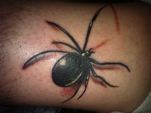 spider tattoo