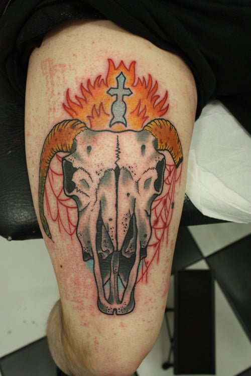 Tattoo craneo animal