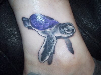 purple turttle tattoo