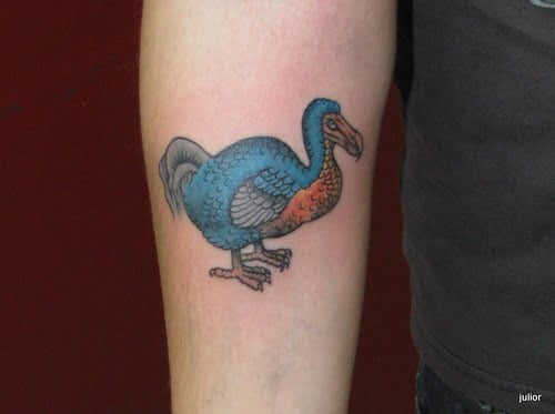 Dodo Bird Tattoo