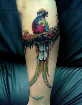 Quetzal colorful tattoo
