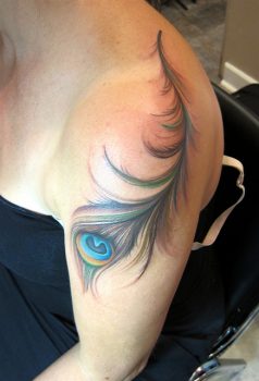 Peacock feather tattoo on shoulder