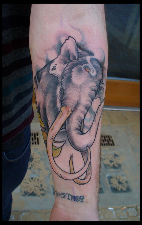 Tatuaje elefante en el brazo