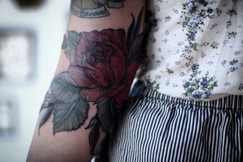 Tatuaje rosa roja en el brazo
