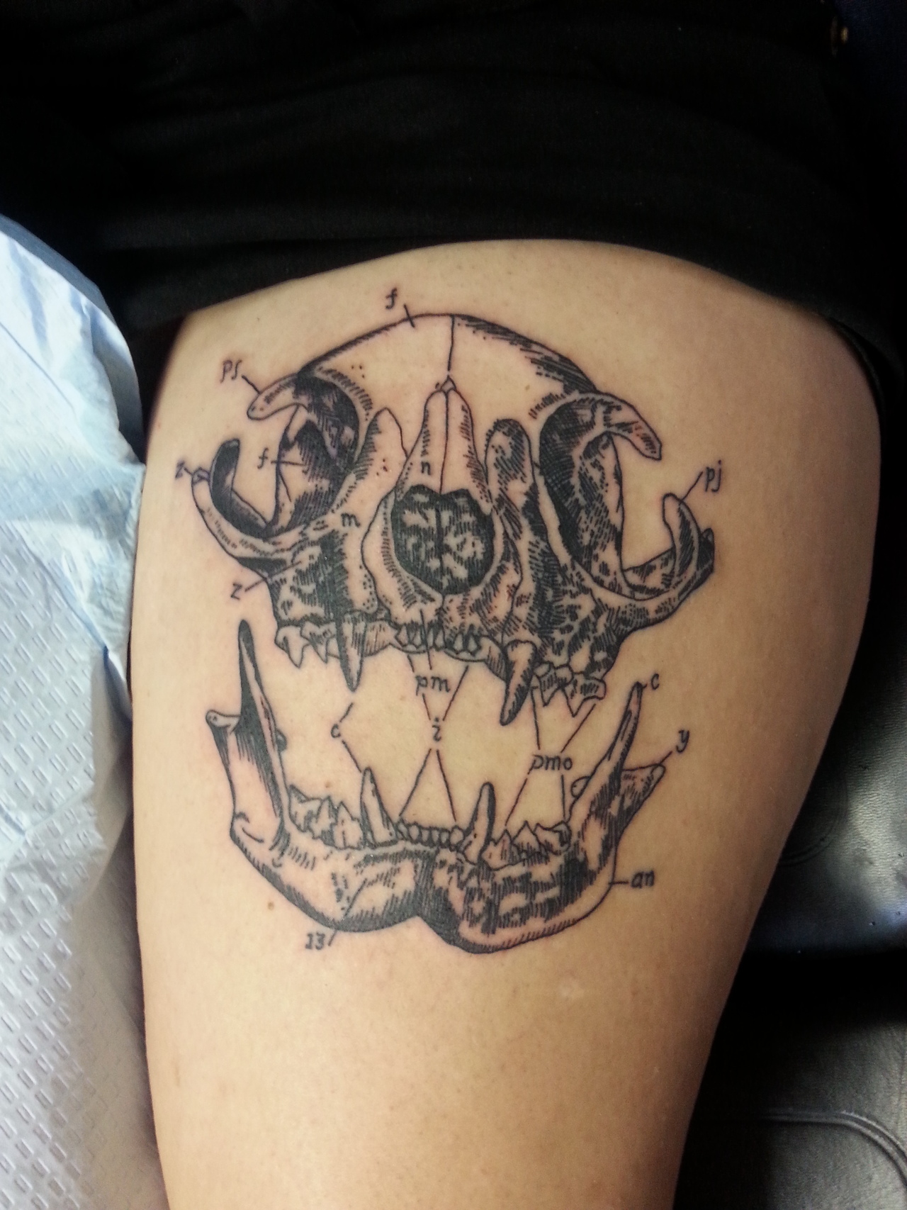 Tatuaje cabeza de felino