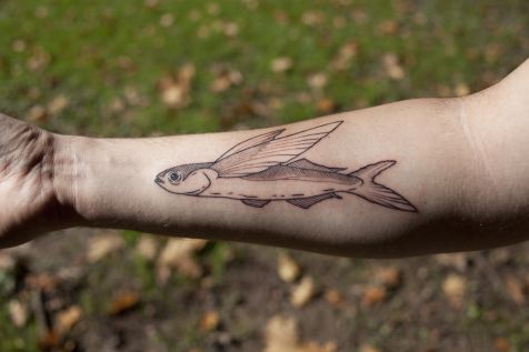 Tatuaje pez volador