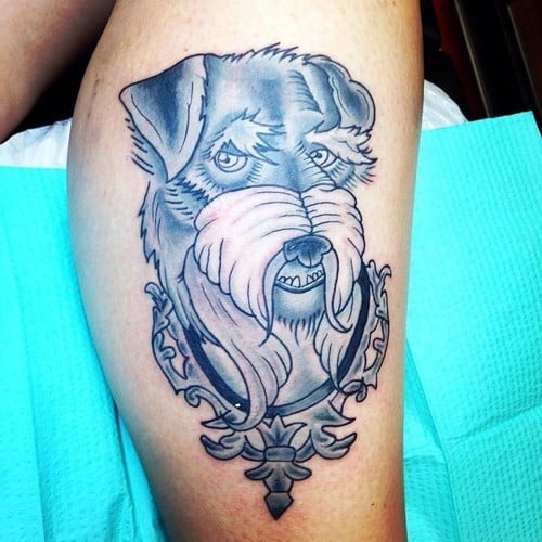 Tatuaje Terrier gris