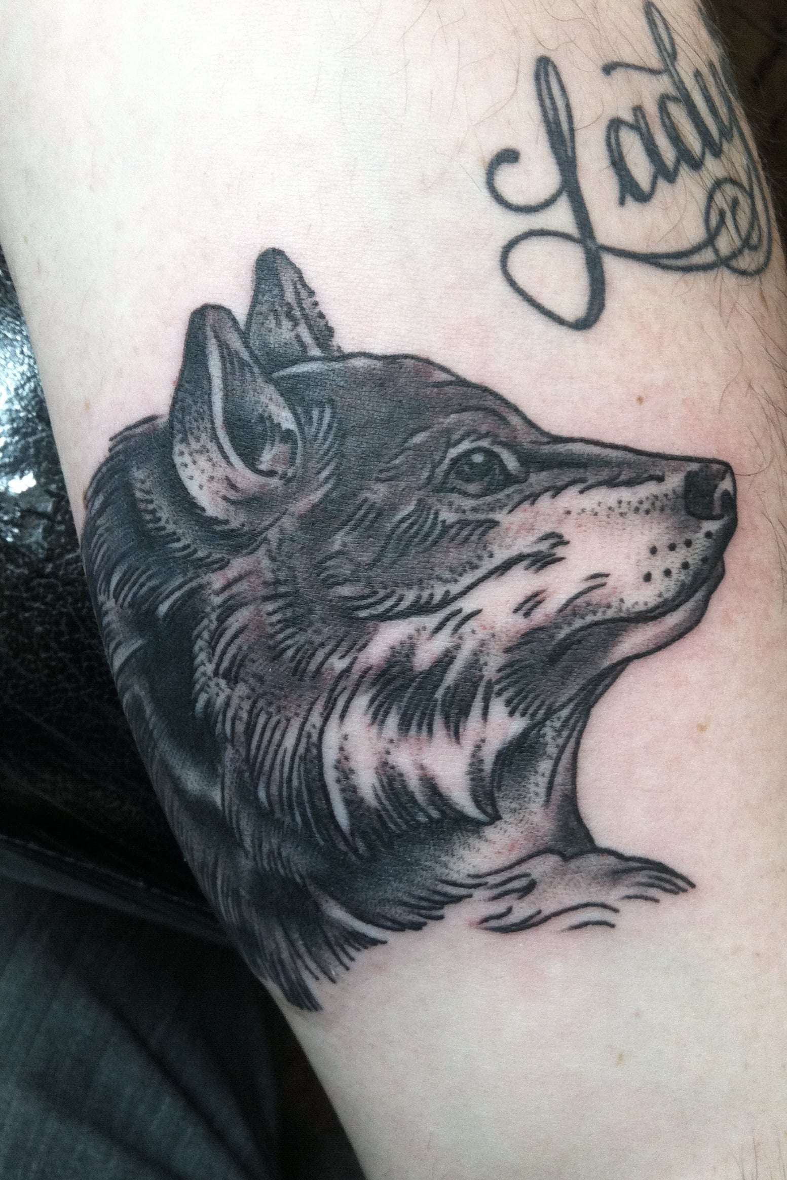 Tatuaje lobo de perfil