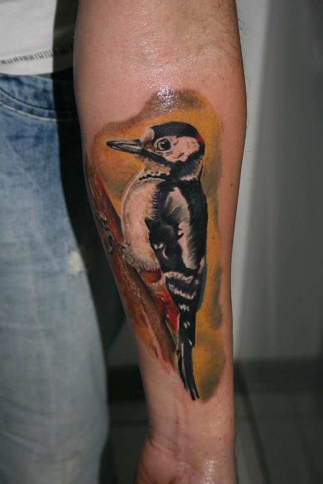Tatuaje pájaro carpintero